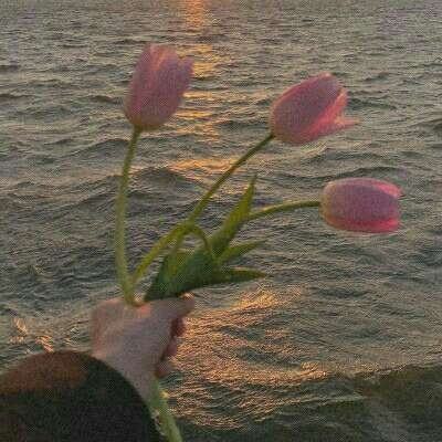 3月26日沪深两市涨停分析：融捷股份、湖南发展、美诺华、新能泰山3连板