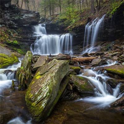 从算碳到减碳，从设备到系统：阳...